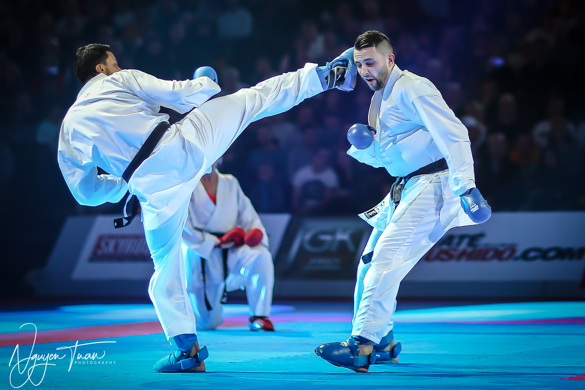 20190324 Festival des Arts Martiaux 3827